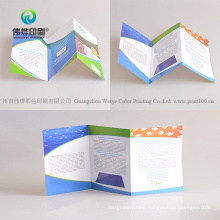 China Manufacture Printing Promotional Foldable Booklet /Menu Brochure